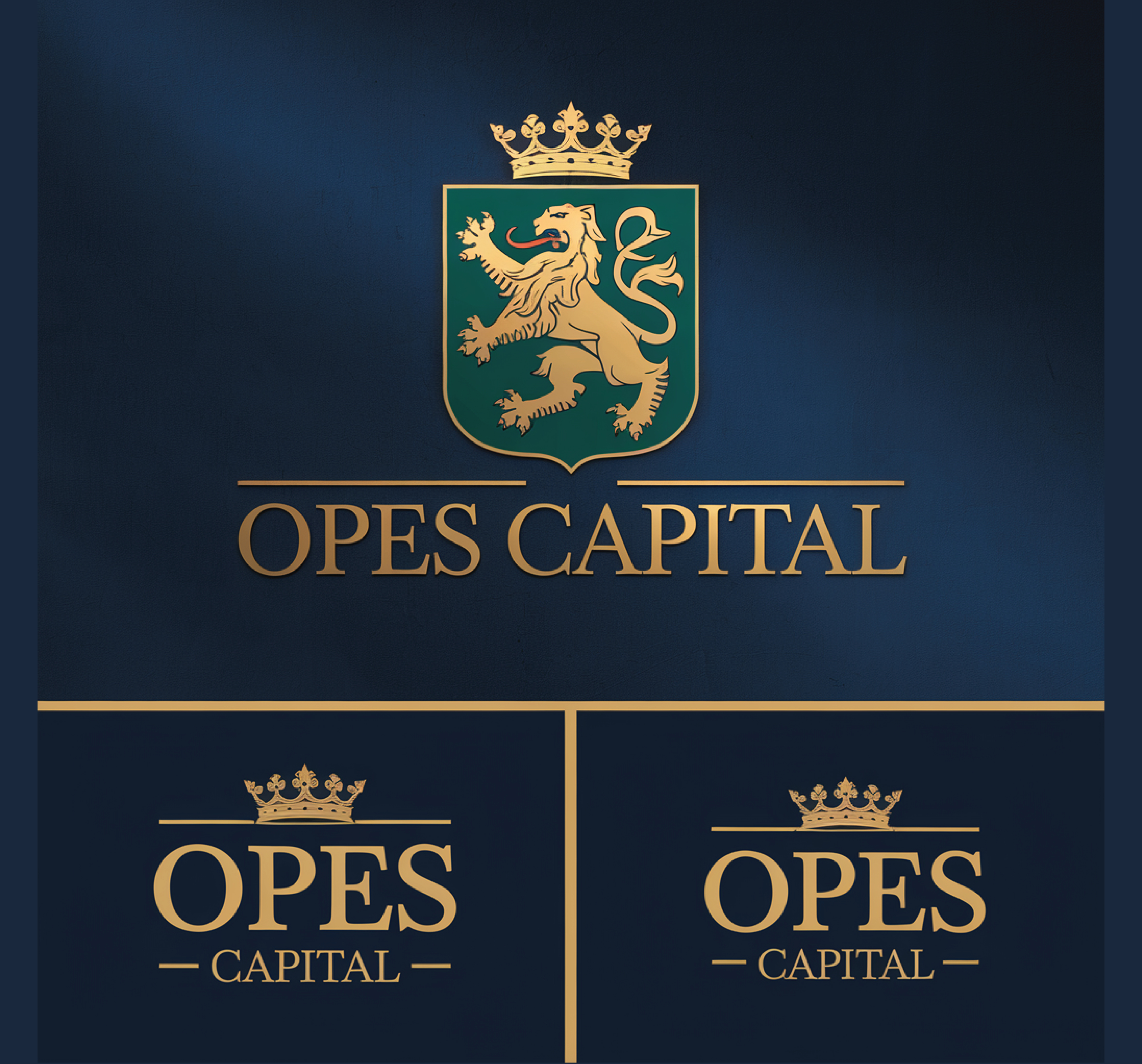 Logo Design by Mst. Rima Banu for this project | Design #33833329