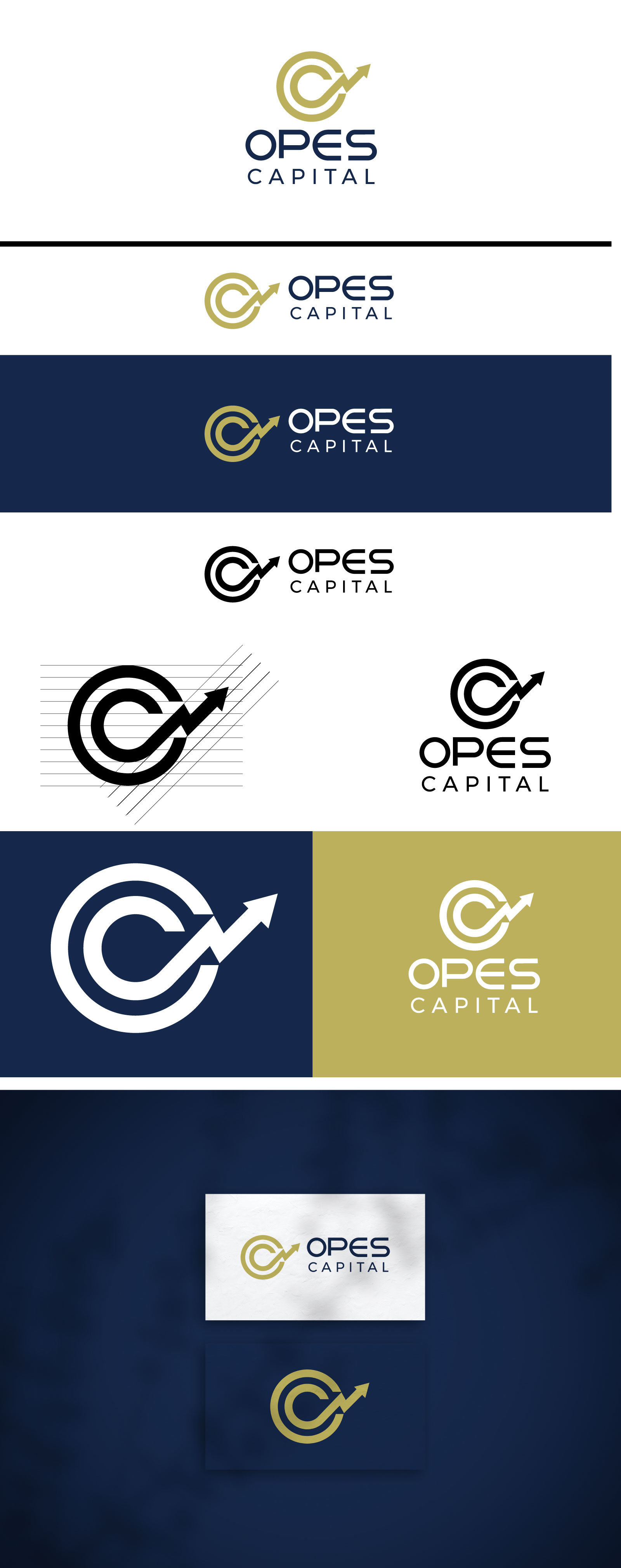 Design de Logo par F a r i s a pour ce projet | Design #33834767