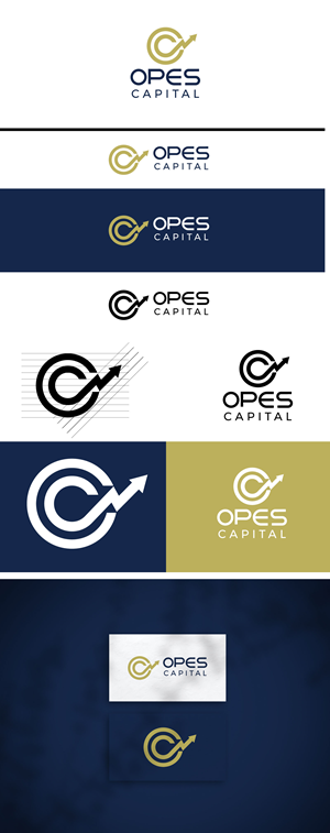 Design de Logo par F a r i s a pour ce projet | Design : #33834767