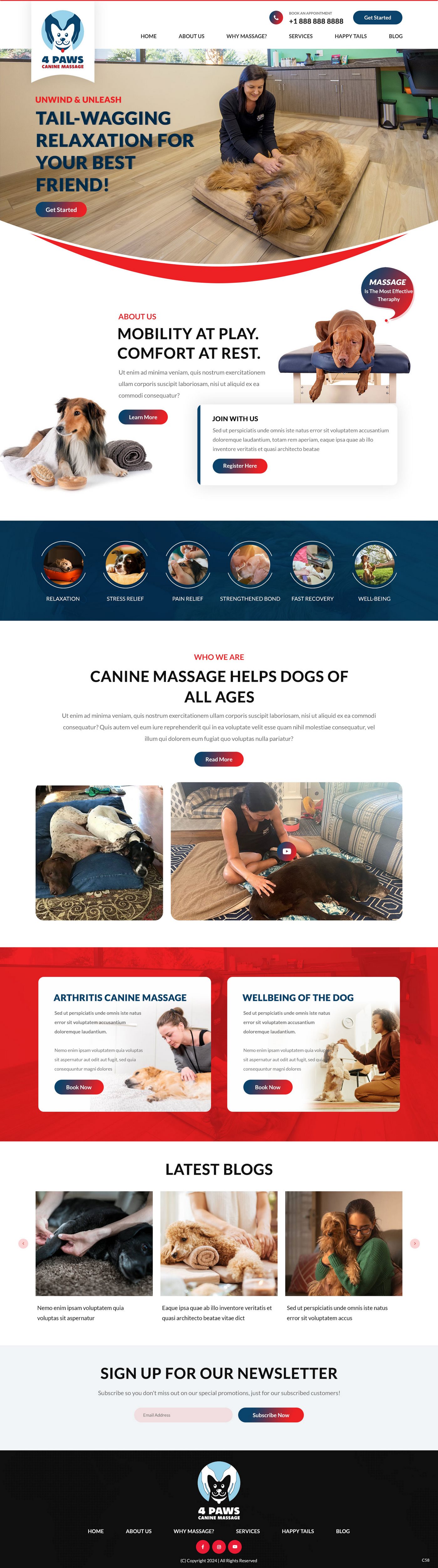 Diseño Web por pb para este proyecto | Diseño #33843062