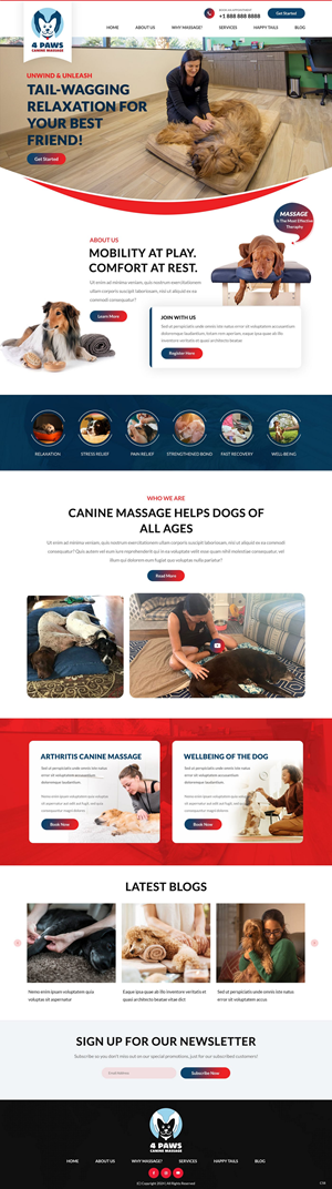 Diseño Web por pb para este proyecto | Diseño #33843062