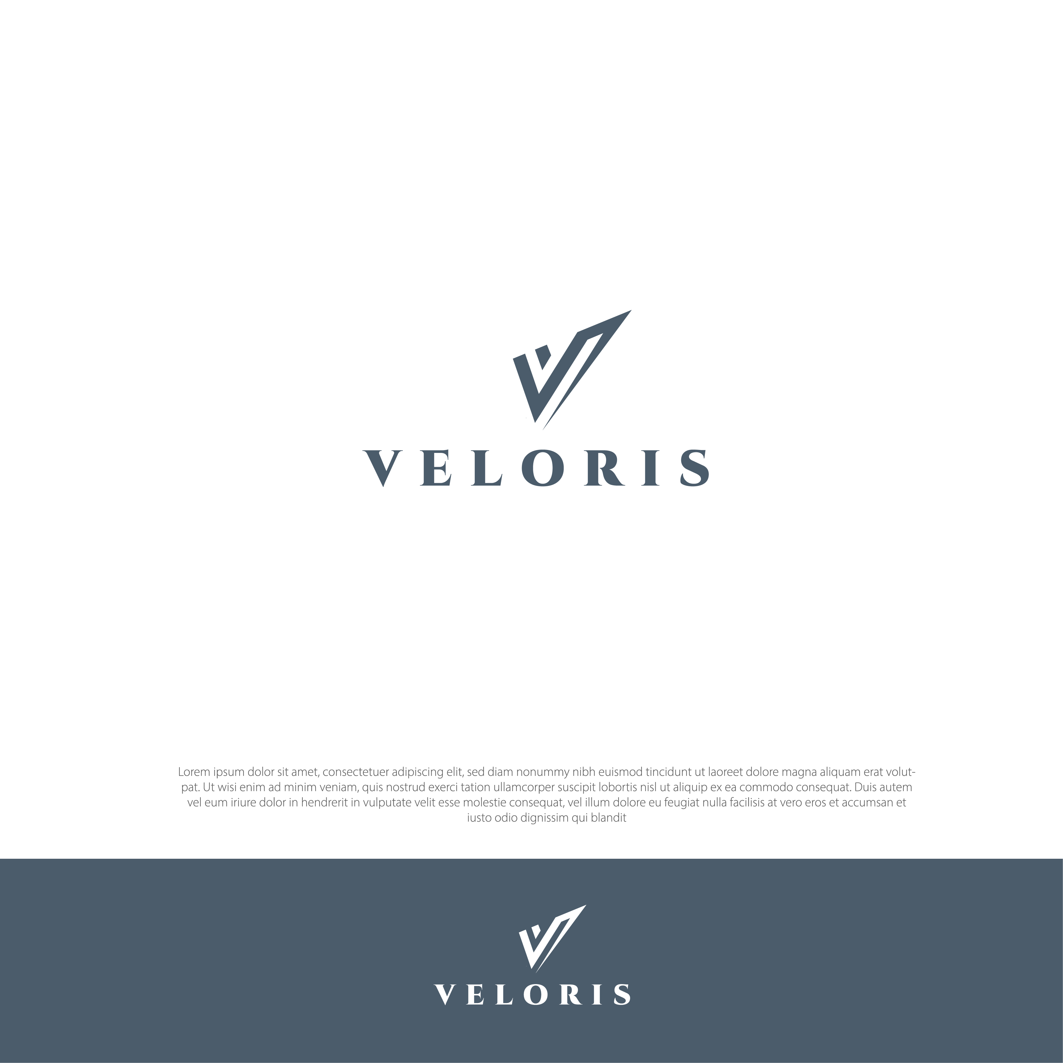 Logo Design by AbrinaDesign for this project | Design #33855013