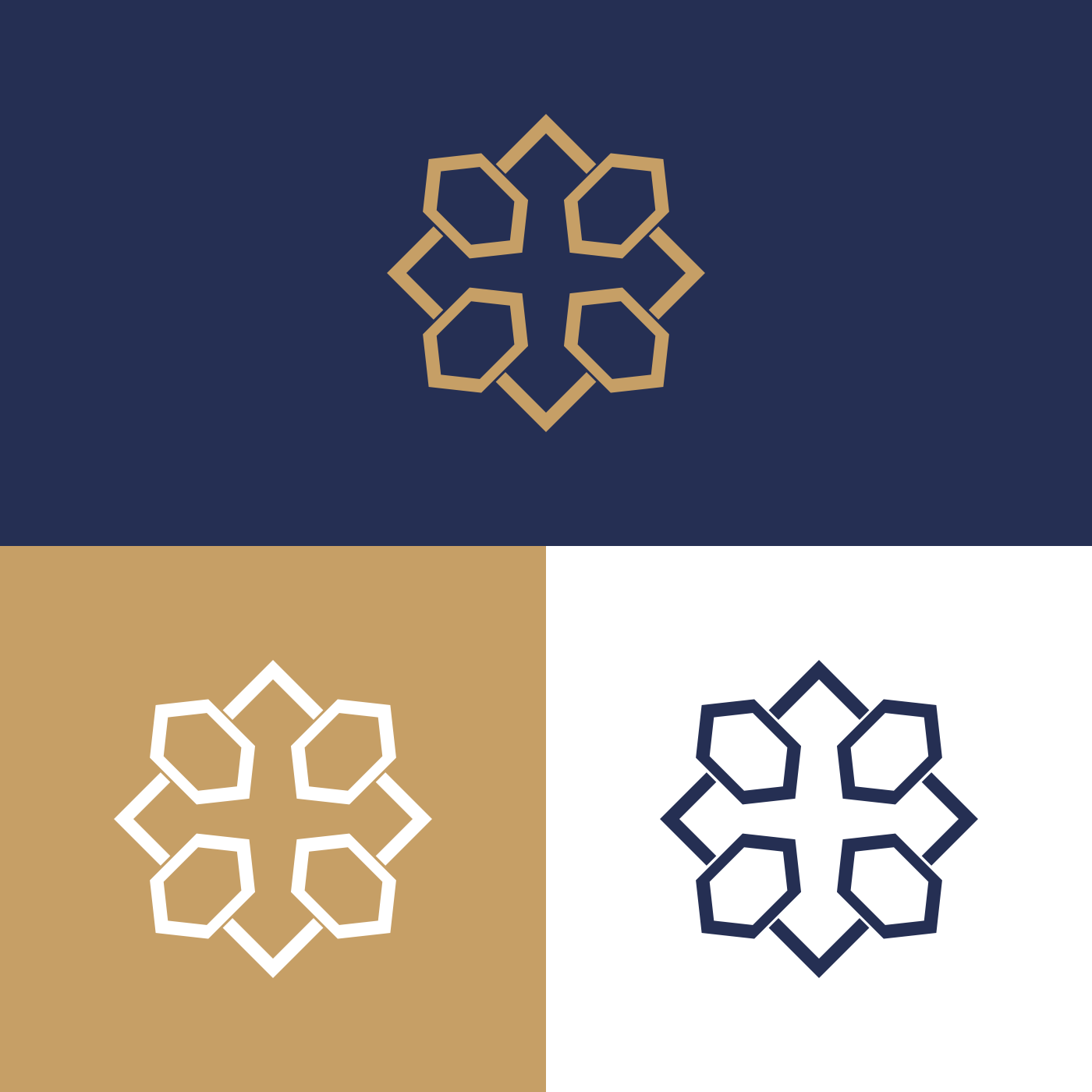 Diseño de Logo por LPMG para este proyecto | Diseño #33864837