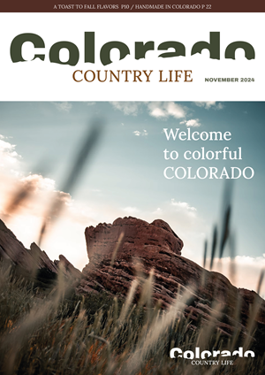 Magazine Design by Patrick M