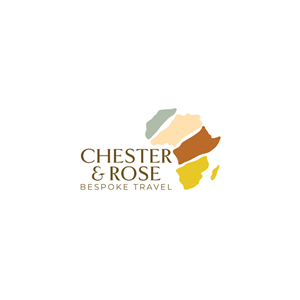 Logo Design by JohnnyCactus