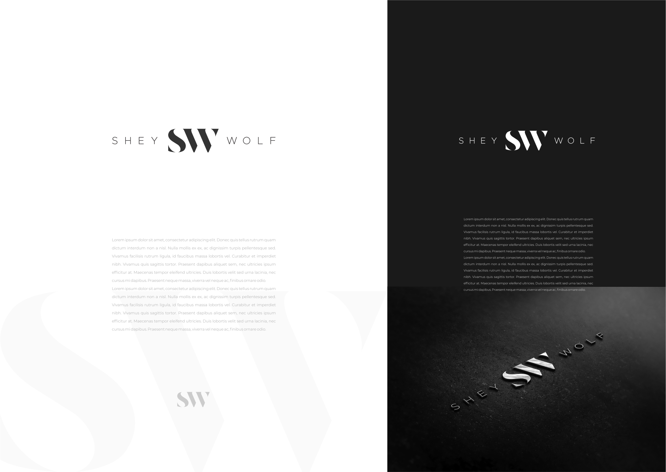 Logo-Design von MishaDsign für dieses Projekt | Design #33865356