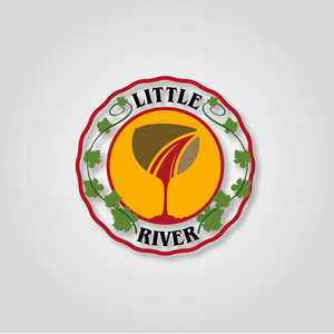 Logo Design by Design24X7
