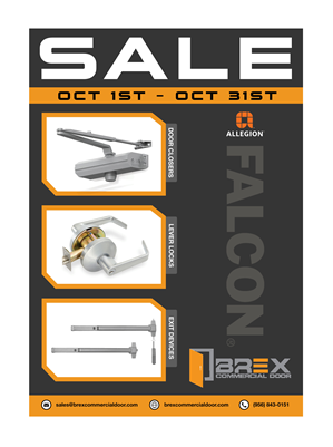 Diseño de Flyer por saurov para este proyecto | Diseño: #33852283