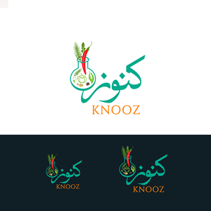 Logo Design by ainee4