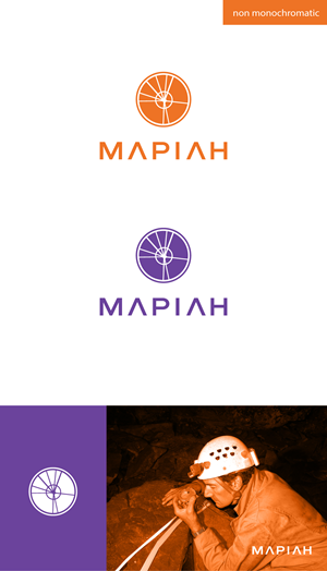 Design de Logo par apik. pour ce projet | Design : #33894621