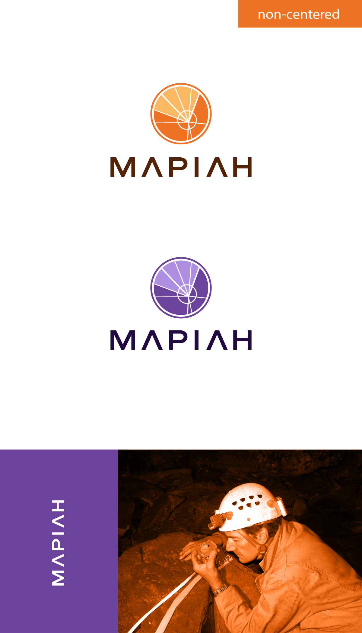 Logo Design by apik. for this project | Design #33897007