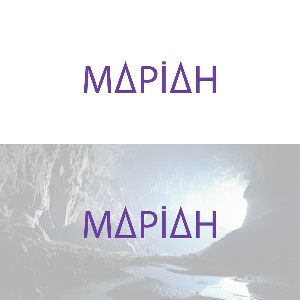 Design de Logo par Abu Bakar Chowdhury pour ce projet | Design #33866494