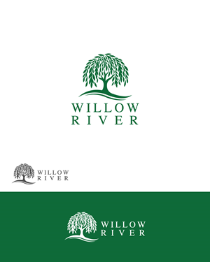 Logo Design by Ben Naveed for this project | Design #33941696