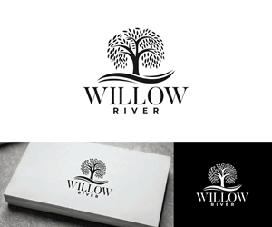 Logo Design by Ansh Design for this project | Design: #33862154