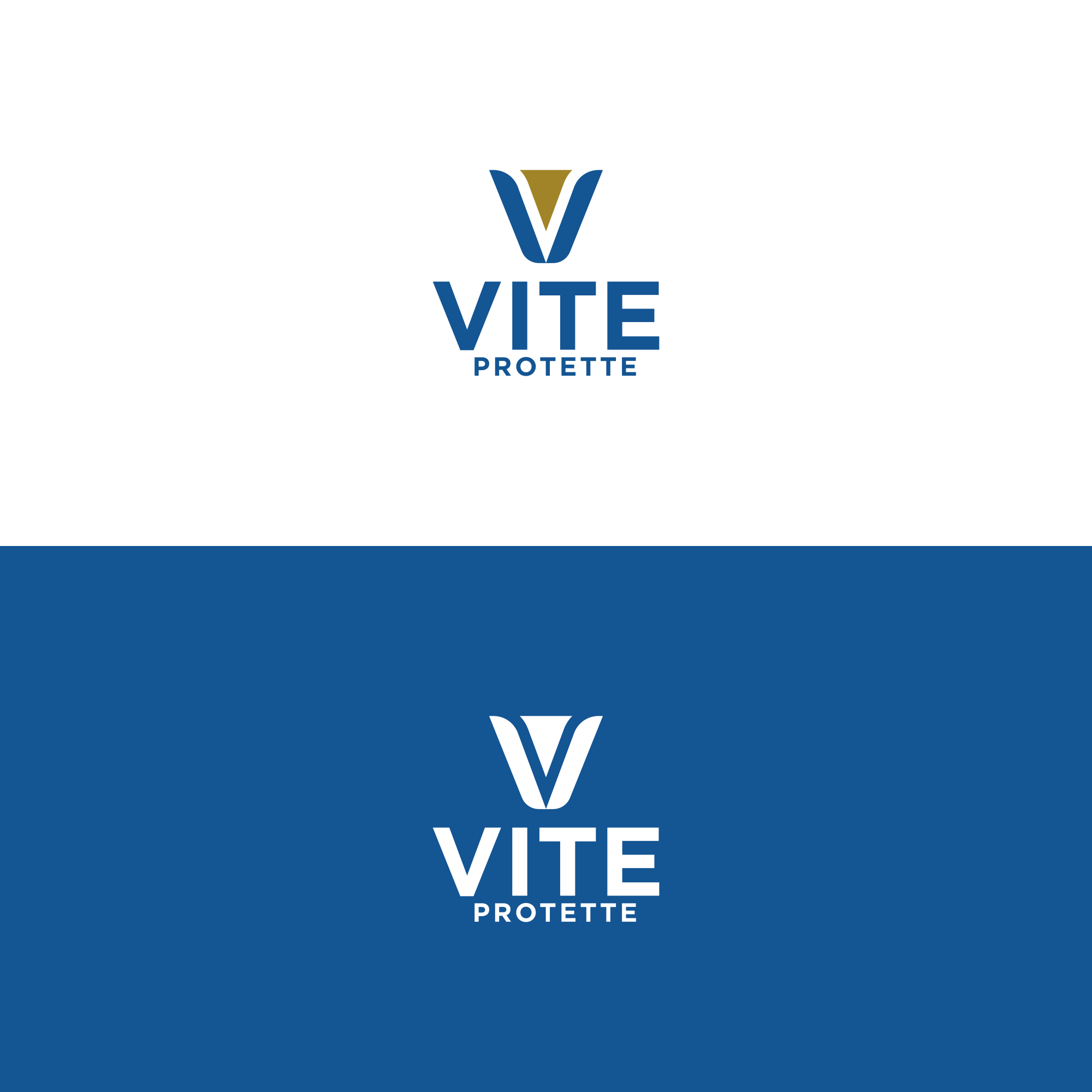 Diseño de Logo por ni9 para este proyecto | Diseño #33900596
