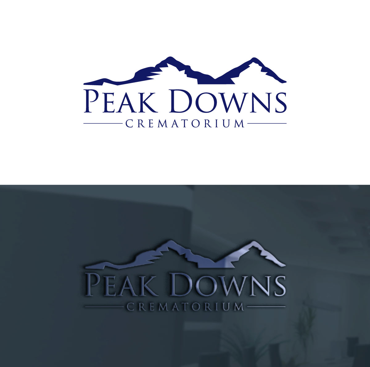Logo Design by Danial07 for this project | Design #33873664