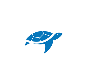 Logo Design by Burhan Art