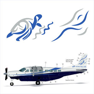 New Image for the tail of an aircraft.