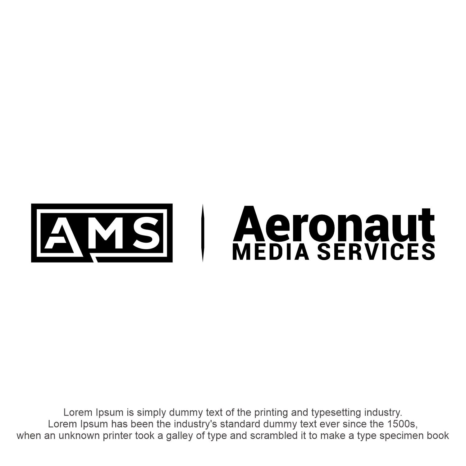 Logo Design by Abigaill_design for Aeronaut Media Services | Design #33887952