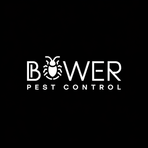 Design de Logo par Ar_nisam_usman pour ce projet | Design : #33896026