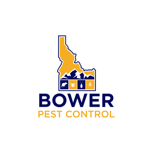 Logo Design by Astro D for this project | Design #33890965