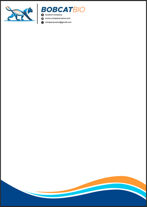 PowerPoint Design by anakbuah