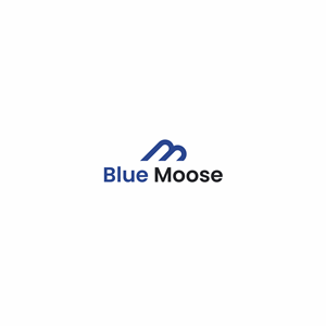 Logo Design by Boril Std