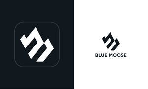 Logo Design by TAQ