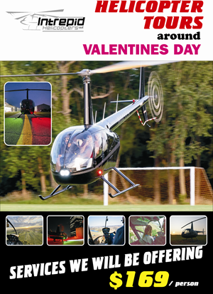 Diseño de Flyer por NAMBHU PRINTS para este proyecto | Diseño: #33913509