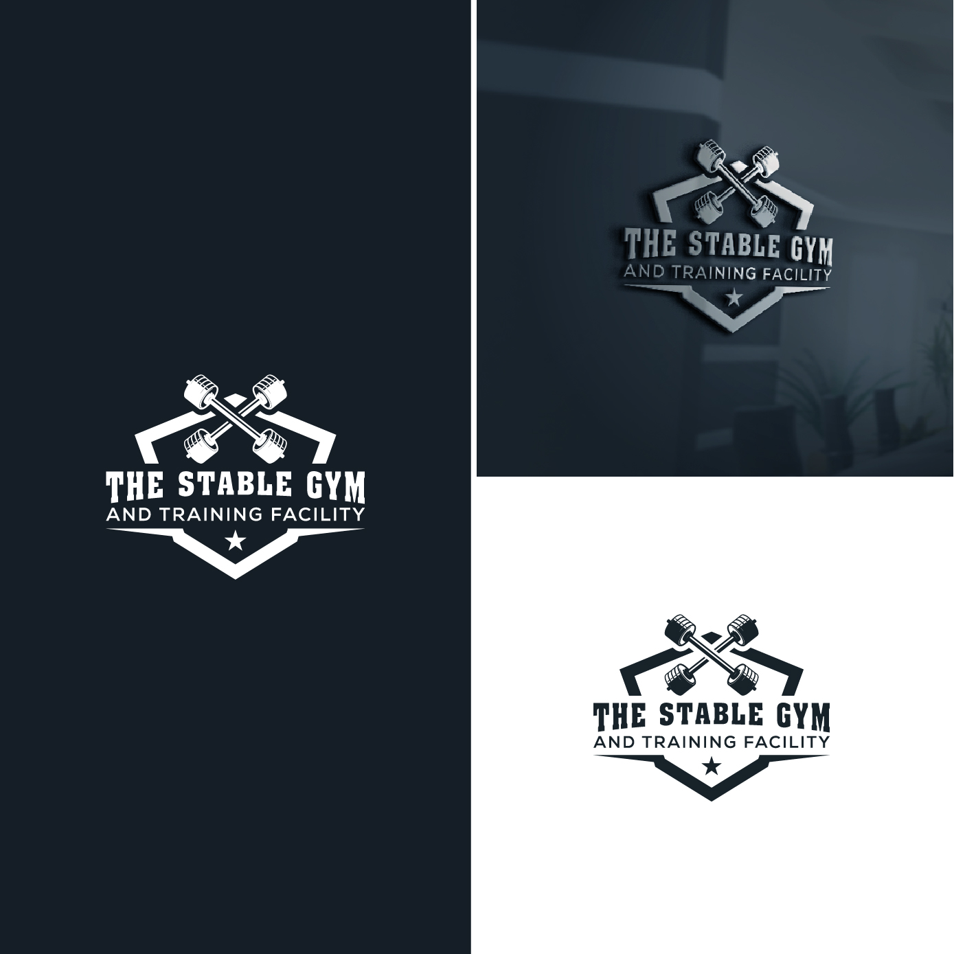 Diseño de Logo por AL-BARAKAH para este proyecto | Diseño #33910643