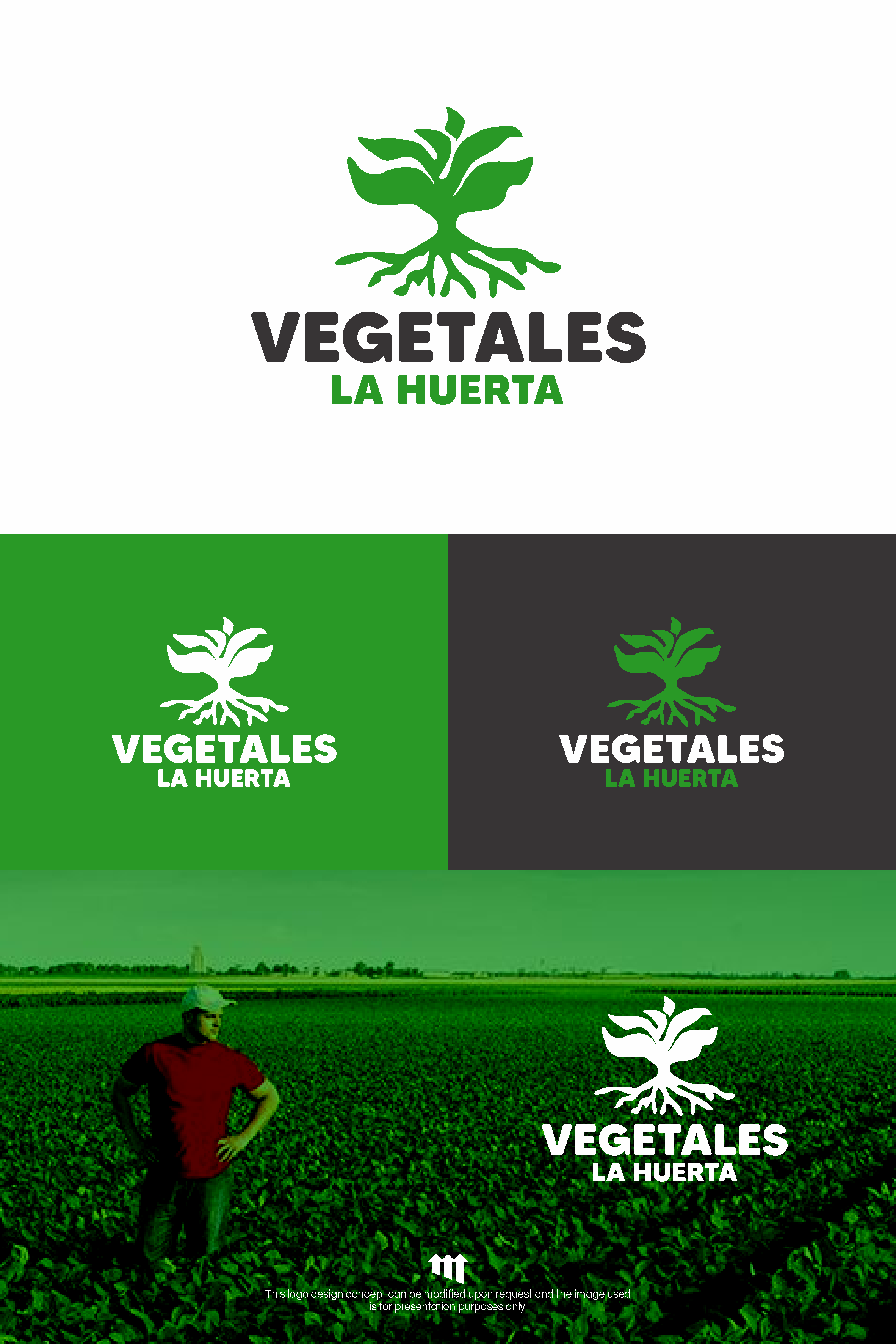 Logo Design by MBARO for this project | Design #33952722