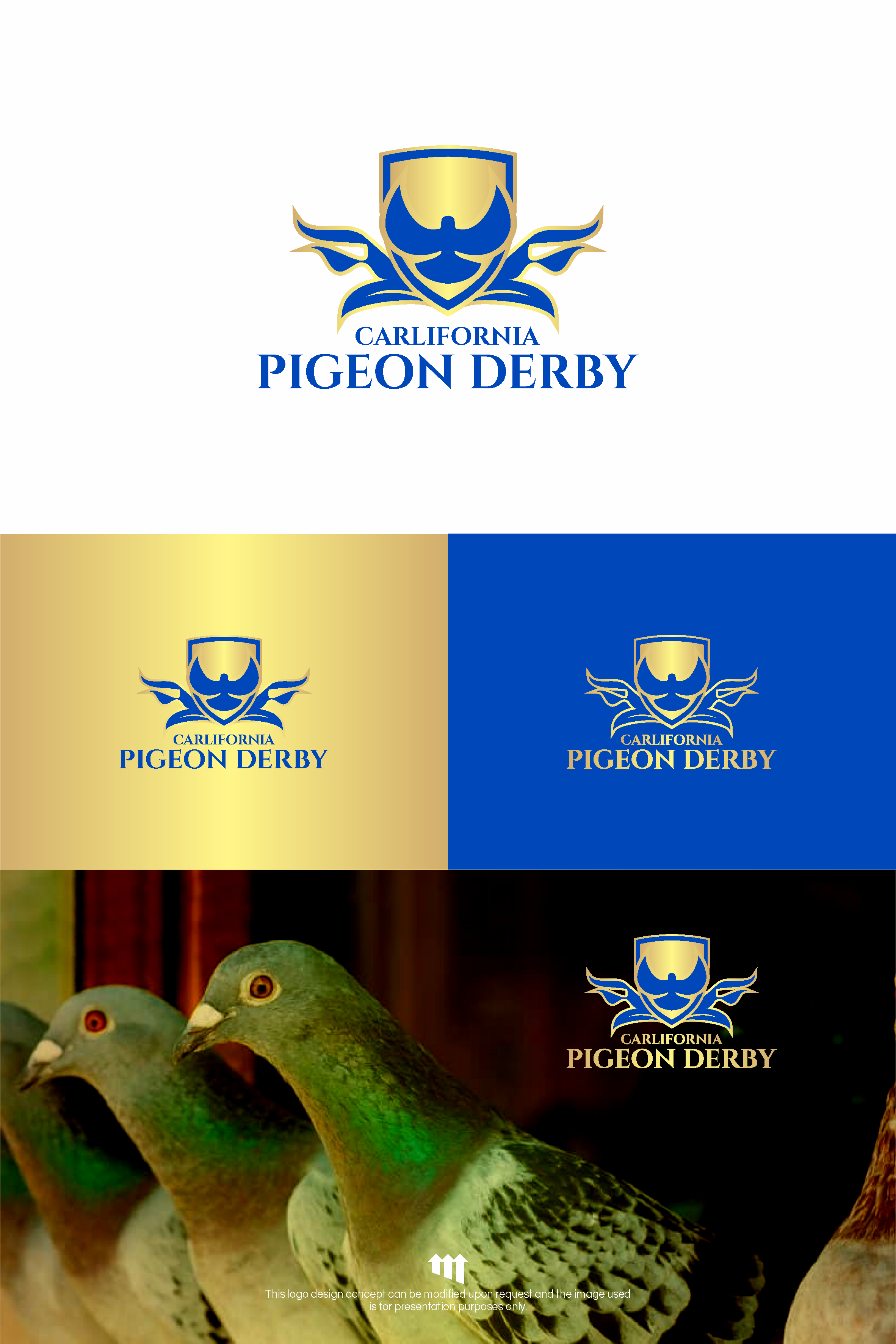 Diseño de Logo por MBARO para este proyecto | Diseño #33955011