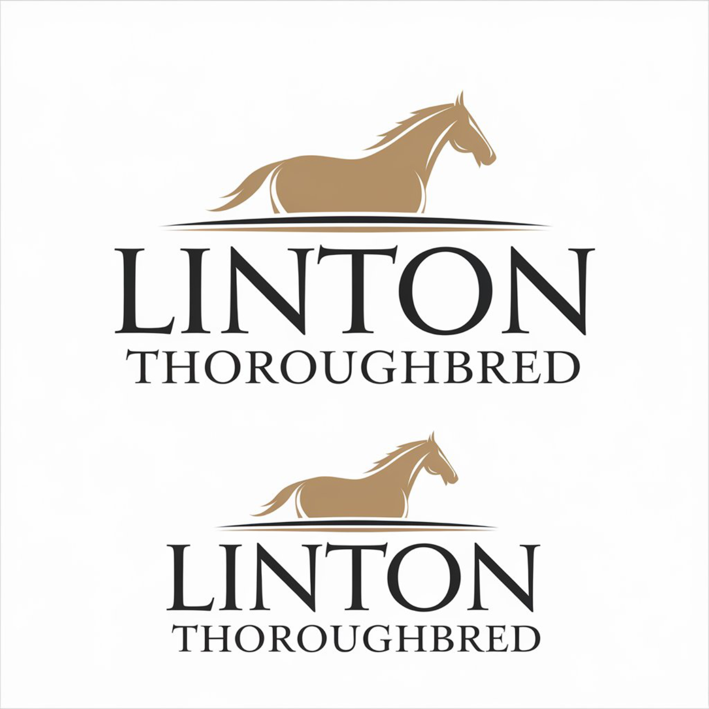 Logo Design by LPMG for this project | Design #33913889