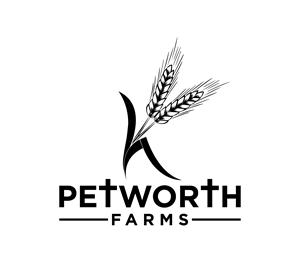 Logo Design by Nova_Create for this project | Design: #33919005