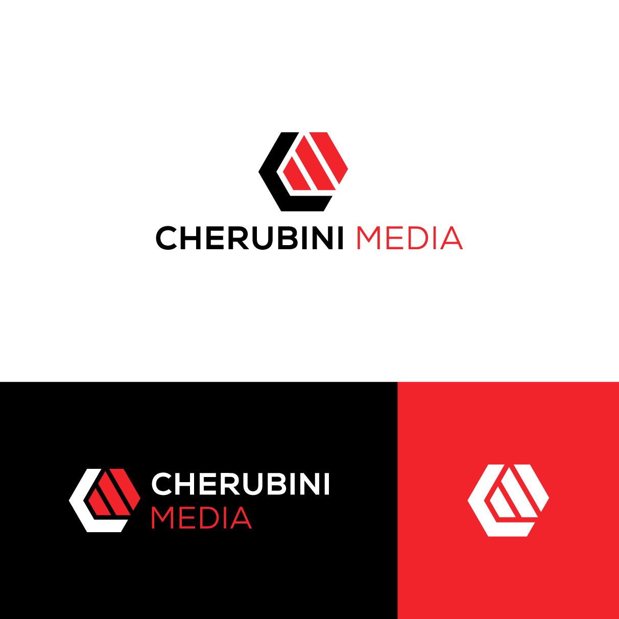 Diseño de Logo por The Lion Studios para este proyecto | Diseño #33917366