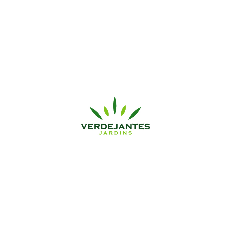 Logo Design by Coli for this project | Design #33970132