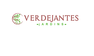 Logo Design by Mesa Graphics