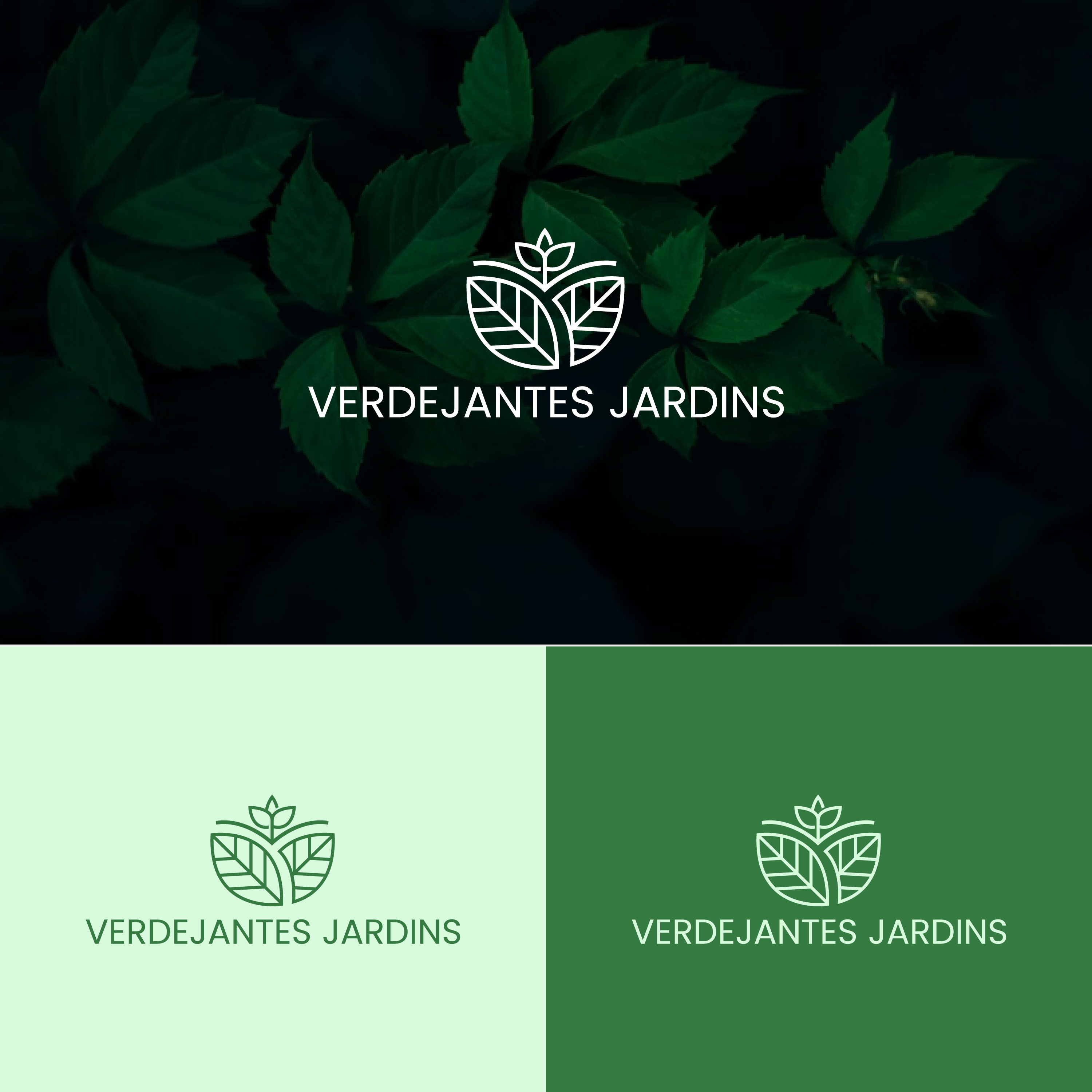 Logo Design by Sbranding for this project | Design #33931892