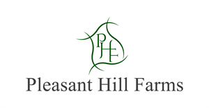 Logo Design by RIO248