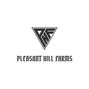 Logo Design by Haddsa