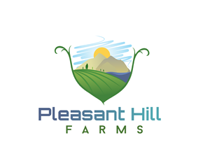 Logo Design by NovaCriação