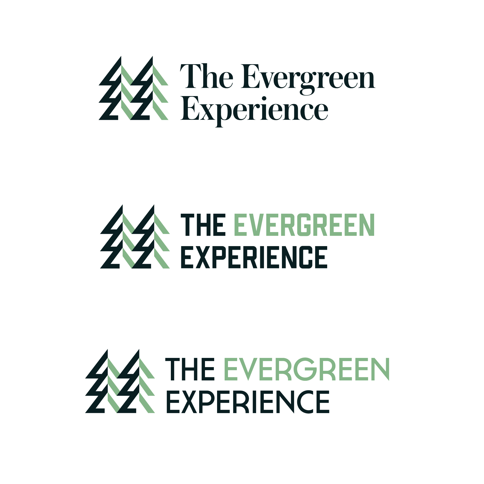 Logo Design by Vusal Hasanov for The Evergreen Experience | Design #33924702
