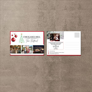 Diseño de Flyer por GraphiXpart para Twin Z Company Inc | Diseño: #33941169