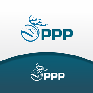 Logo Design by NovaCriação