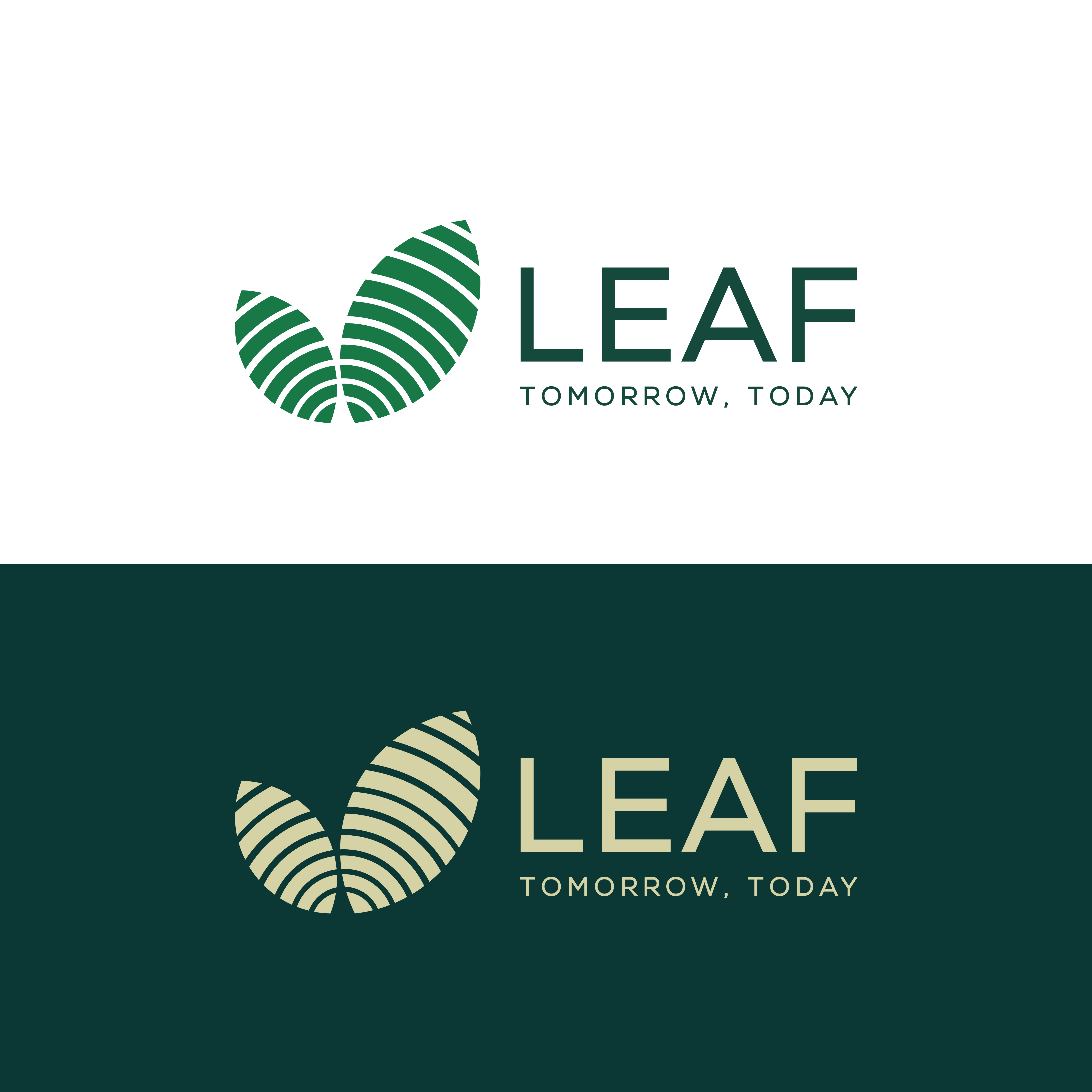 Logo Design by Merin gopi for this project | Design #34009278