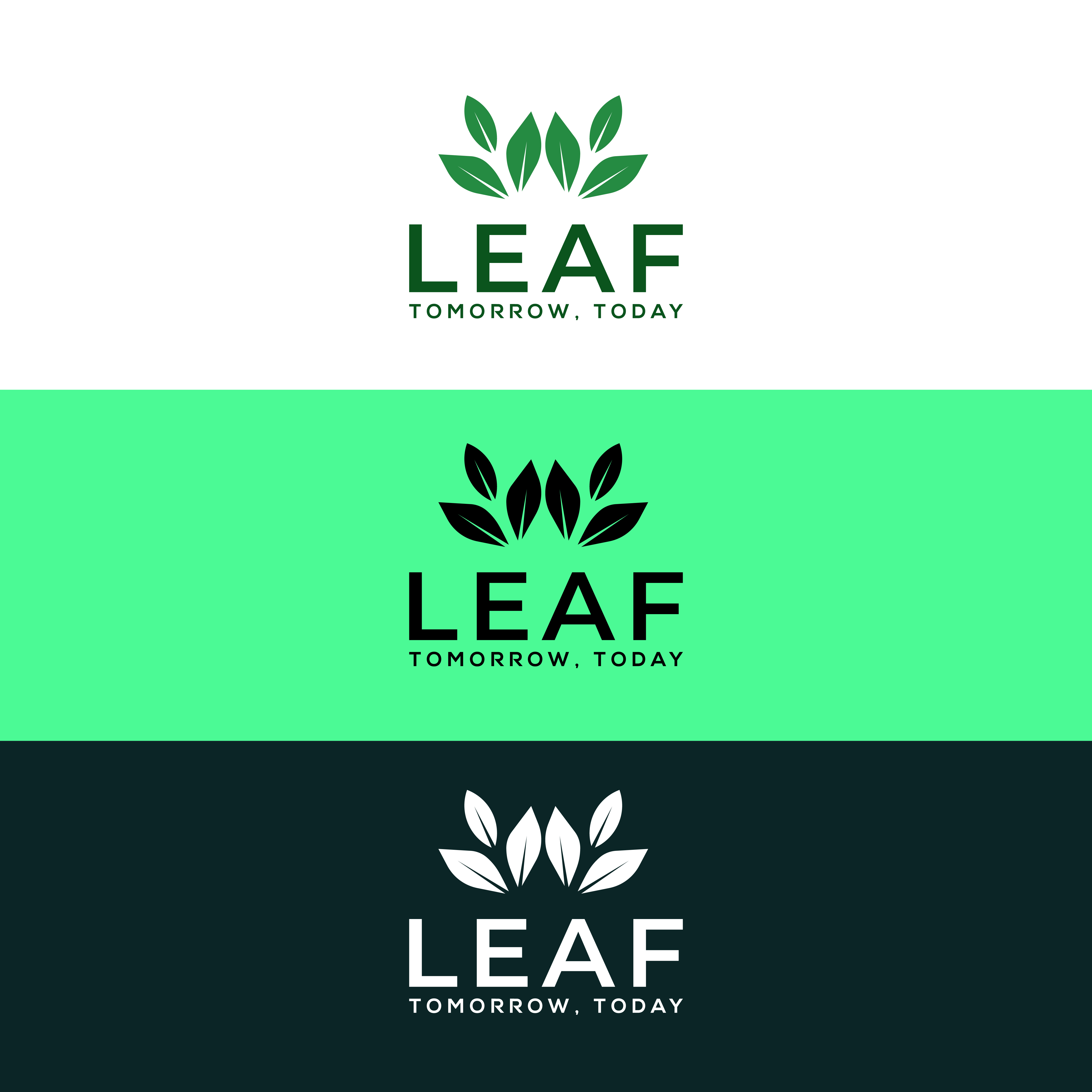Logo Design by Merin gopi for this project | Design #34040519