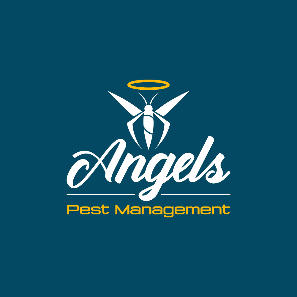 Diseño de Logo por Abu Bakar Chowdhury para este proyecto | Diseño #33974935