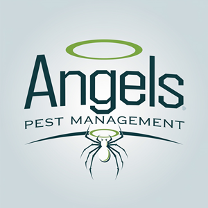 Design de Logo par bute pour ce projet | Design : #33946433