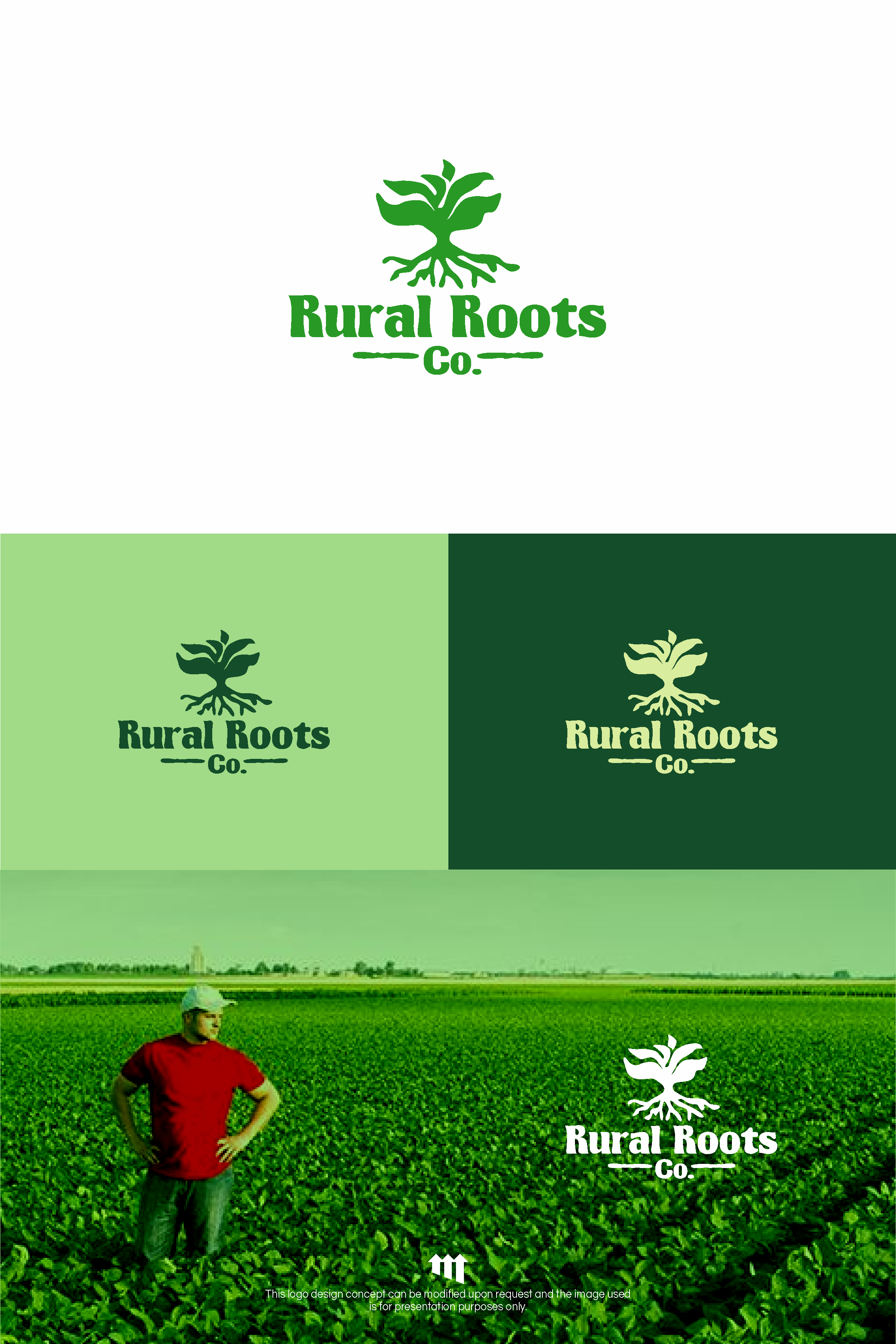 Diseño de Logo por MBARO para este proyecto | Diseño #33951323