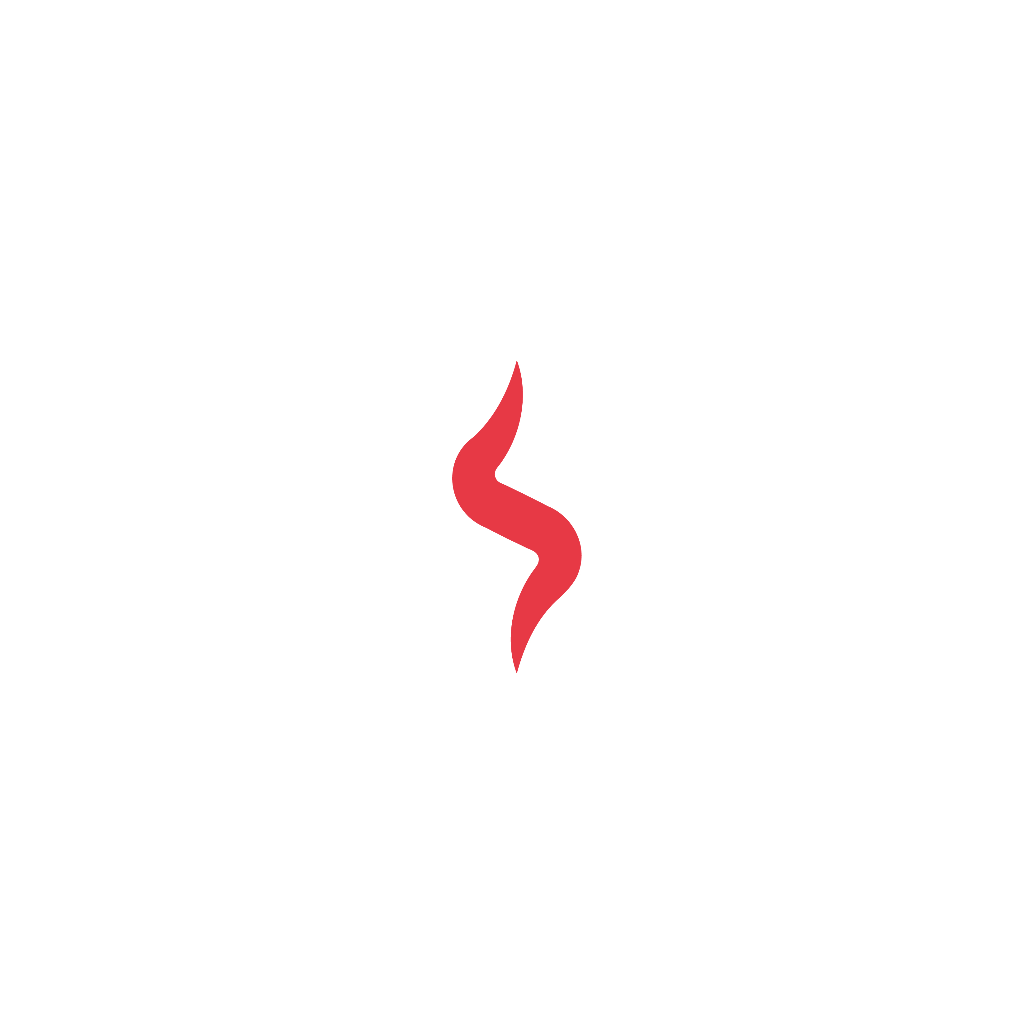 Logo Design by Boril Std for this project | Design #33934233